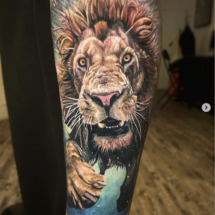 realistic full color lion